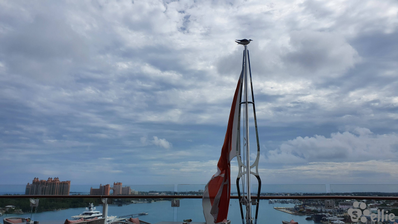 Nassau - Bahamas