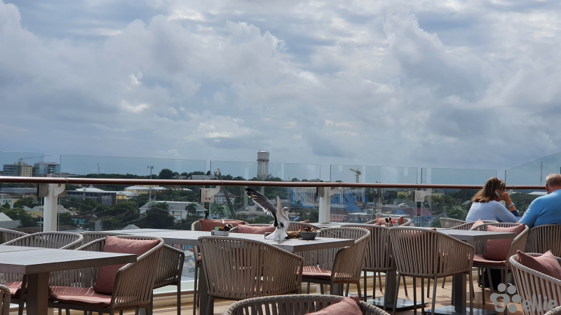 Oceanview Café