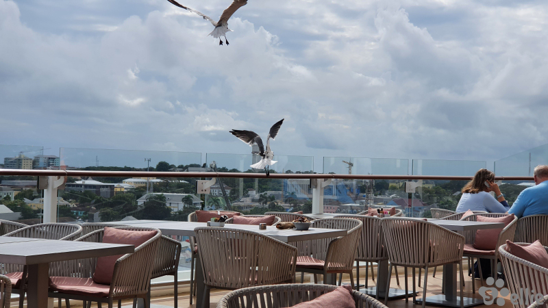 Oceanview Café