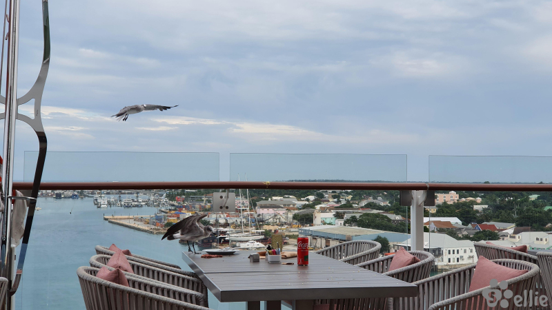 Oceanview Café