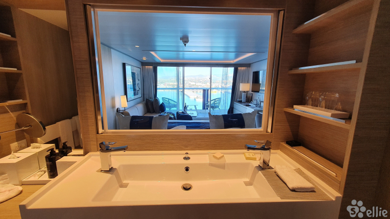 Bathroom with a view