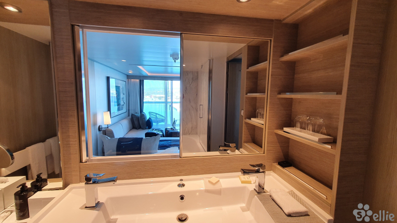Bathroom with a view