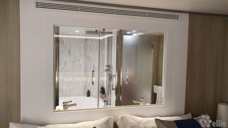 Bathroom with a view